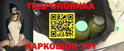 стаф Свободный