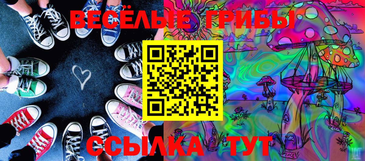 Похвистнево  что такое наркотик  Псилоцибиновые грибы MAGIC MUSHROOMS  Вход с VPN  Псилоцибиновые грибы Psilocybe 