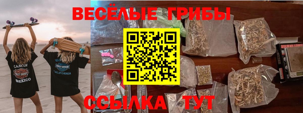 Галлюциногенные грибы Psilocybine cubensis Похвистнево